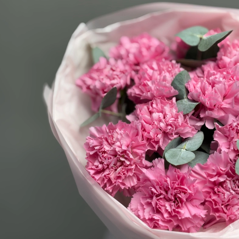 Сортовые диантусы холодно розовые с эвкалиптом 