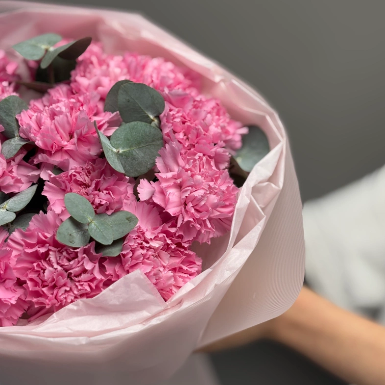 Сортовые диантусы холодно розовые с эвкалиптом 