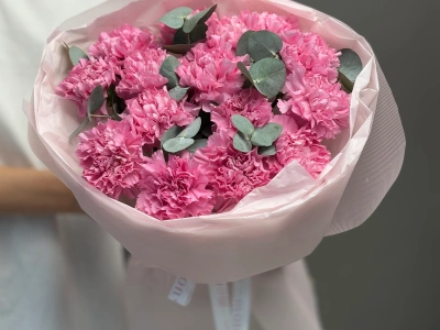 Сортовые диантусы холодно розовые с эвкалиптом 