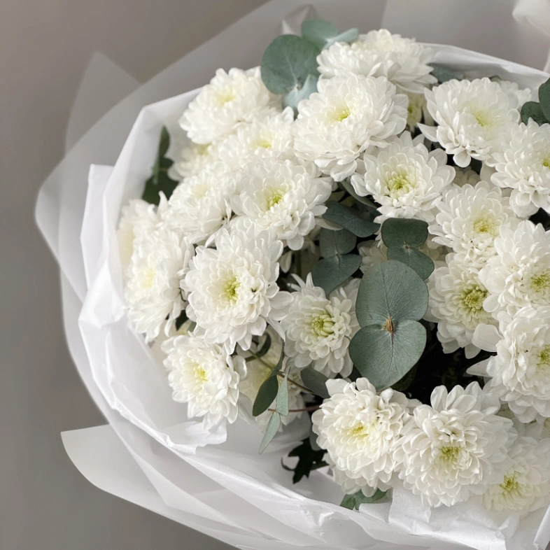 Белоснежные кустовые хризантемы с эвкалиптом