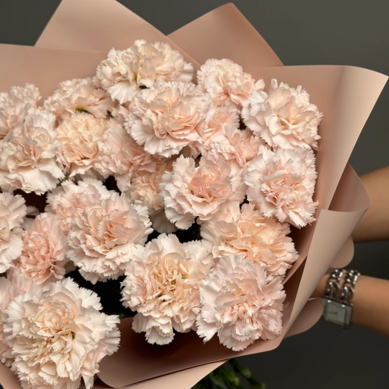 Диантусы сортовые 25 «Брют»