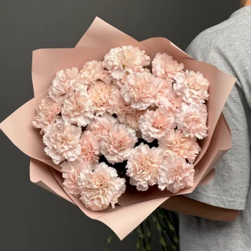 Диантусы сортовые 25 «Брют»