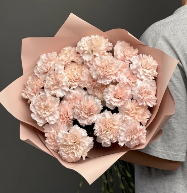 Диантусы сортовые 25 «Брют»