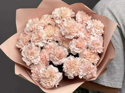 Диантусы сортовые 25 «Брют»