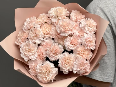 Диантусы сортовые 25 «Брют»