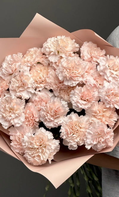 Диантусы сортовые 25 «Брют»