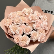 Диантусы сортовые 25 «Брют» 1