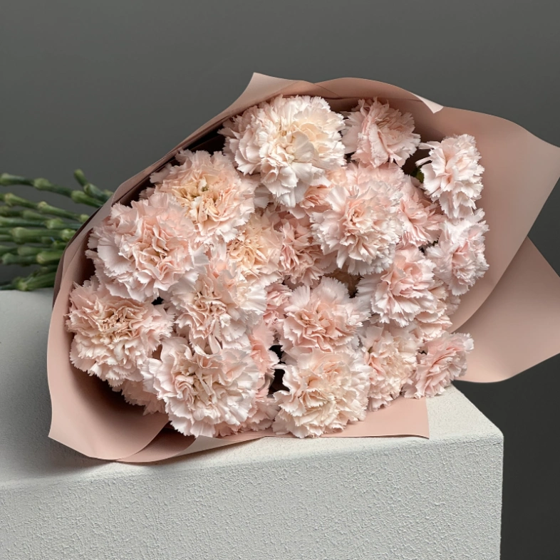 Диантусы сортовые 25 «Брют»