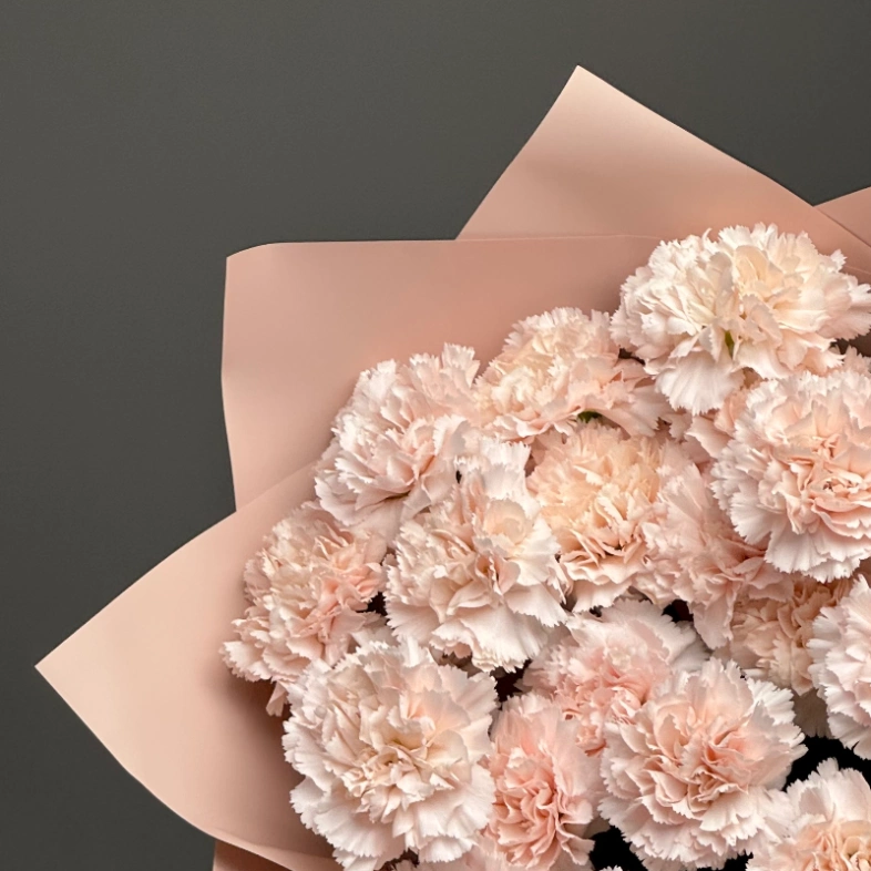 Диантусы сортовые 25 «Брют»