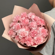 Диантусы сортовые 25 «Розовая дымка» 0