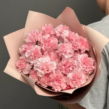 Диантусы сортовые 25 «Розовая дымка»