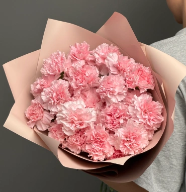 Диантусы сортовые 25 «Розовая дымка»