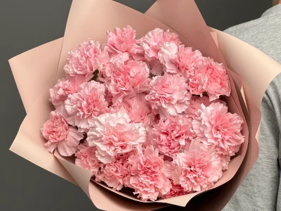 Диантусы сортовые 25 «Розовая дымка»