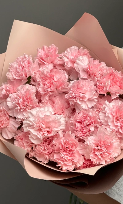 Диантусы сортовые 25 «Розовая дымка»