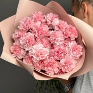 Диантусы сортовые 25 «Розовая дымка» 2