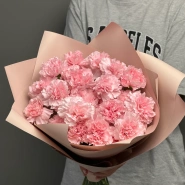 Диантусы сортовые 25 «Розовая дымка» 1