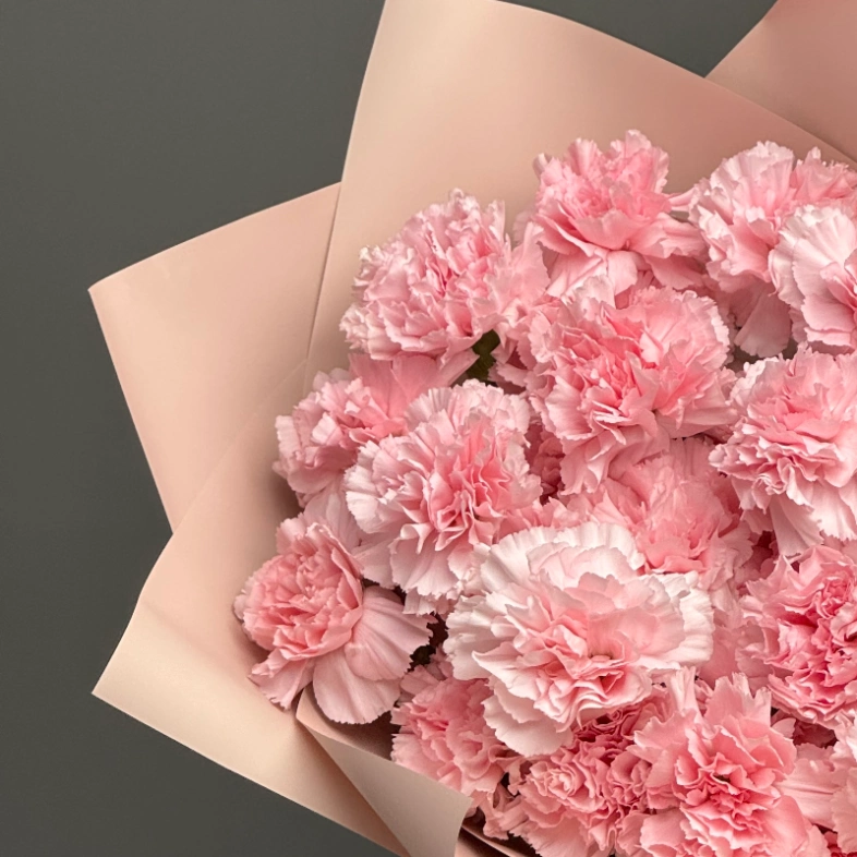 Диантусы сортовые 25 «Розовая дымка»