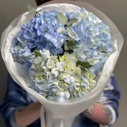 Голубые гортензии «Blue Ocean» 1