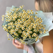 Букет Ромашка 9 1