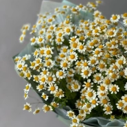 Букет Ромашка 9 3