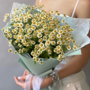 Букет Ромашка 9 0