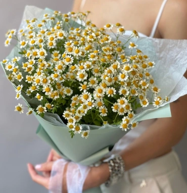 Букет Ромашка 9