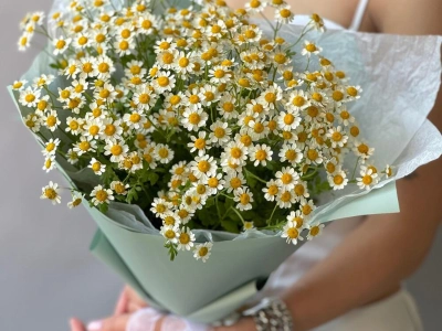 Букет Ромашка 9