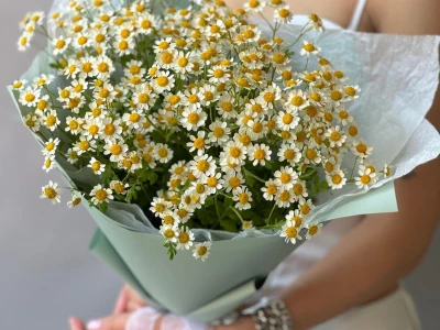 Букет Ромашка 9