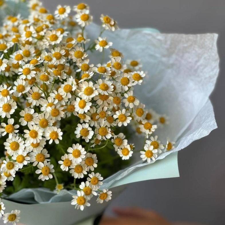 Букет Ромашка 9
