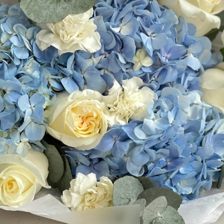 Букет: Голубые гортензии и белые розы💙 Ванильное облачко