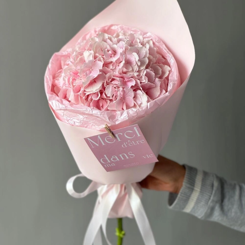 Моно гортензия-зефир