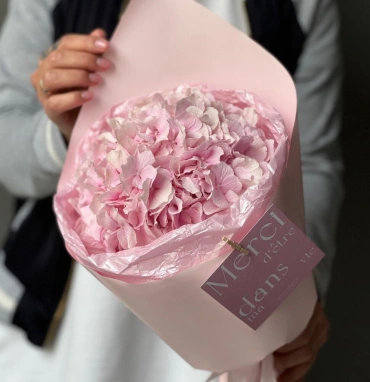 Моно гортензия-зефир