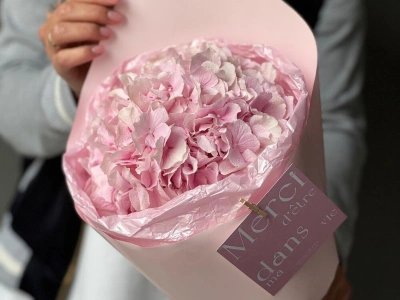 Моно гортензия-зефир