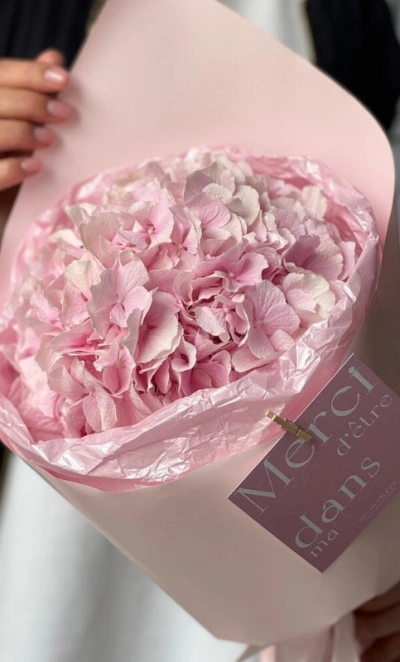 Моно гортензия-зефир