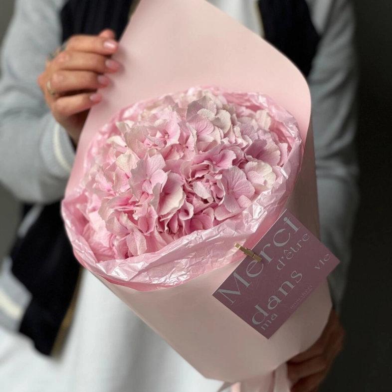 Моно гортензия-зефир