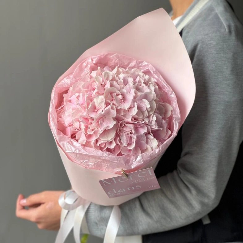 Моно гортензия-зефир