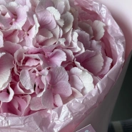 Моно гортензия-зефир 4