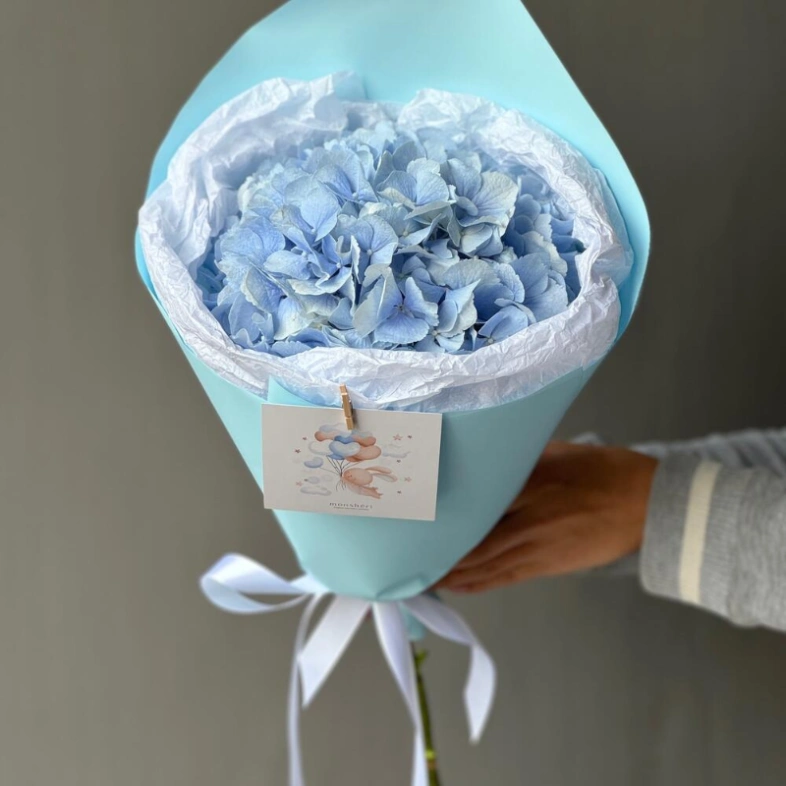 Моно небесно-голубая гортензия