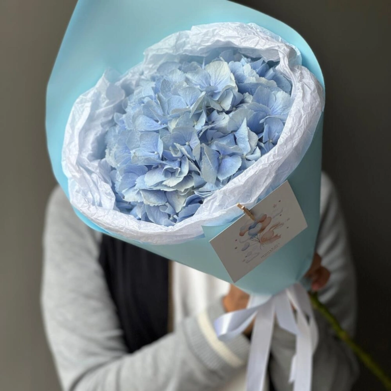 Моно небесно-голубая гортензия