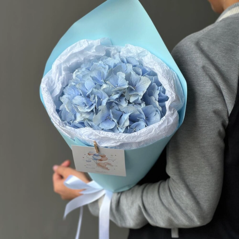 Моно небесно-голубая гортензия