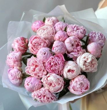 Пионы Сара Бернар 23