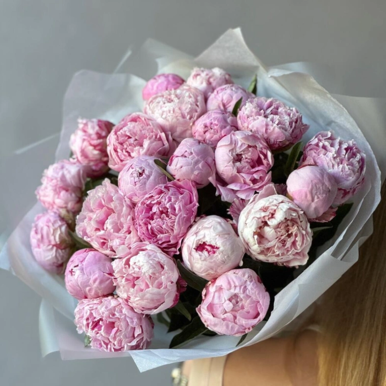 Пионы Сара Бернар 23