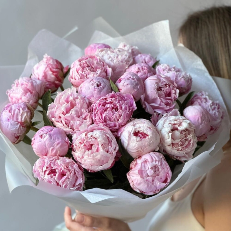 Пионы Сара Бернар 23