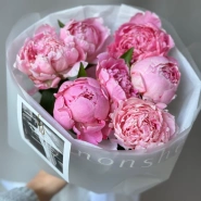 7 пионов Сара Бернар 0