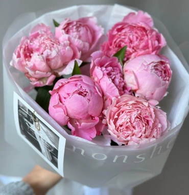 7 пионов Сара Бернар