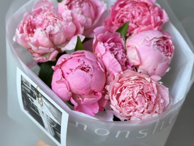 7 пионов Сара Бернар