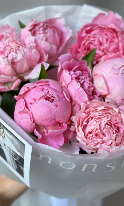 7 пионов Сара Бернар