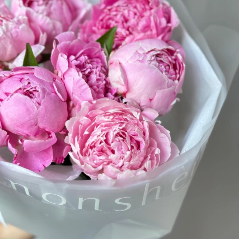 7 пионов Сара Бернар