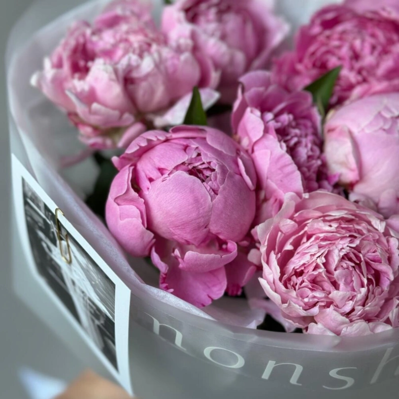 7 пионов Сара Бернар