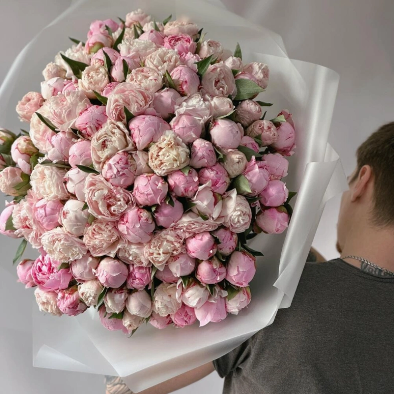 Пионы Сара Бернар 101